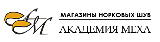 Академия меха