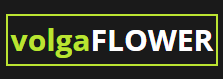 Поволжская цветочная компания